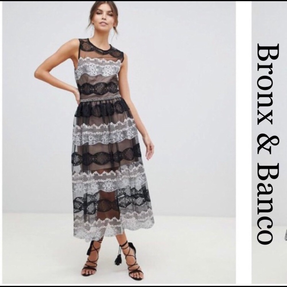 Bronx and Banco Caprese Lace & Mesh Cocktail Dress